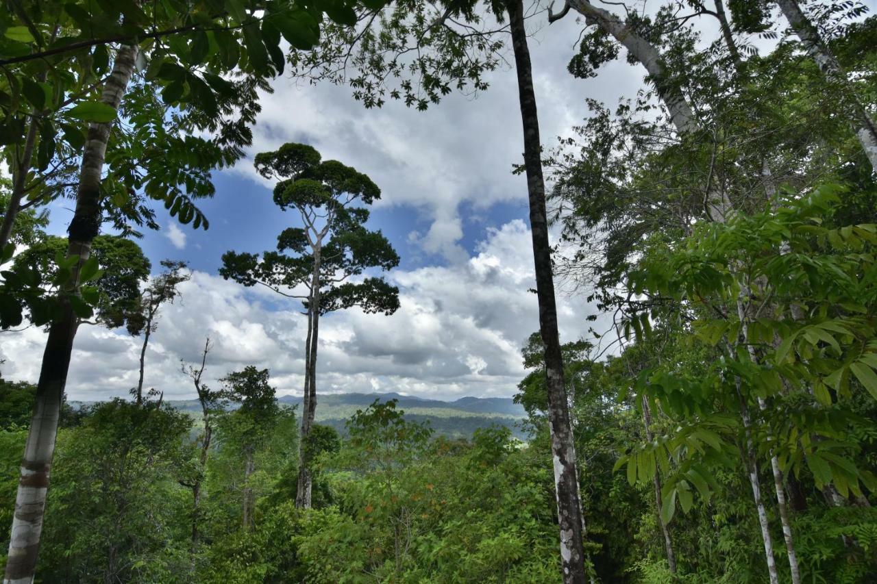 Herrera Puerto Jimenez